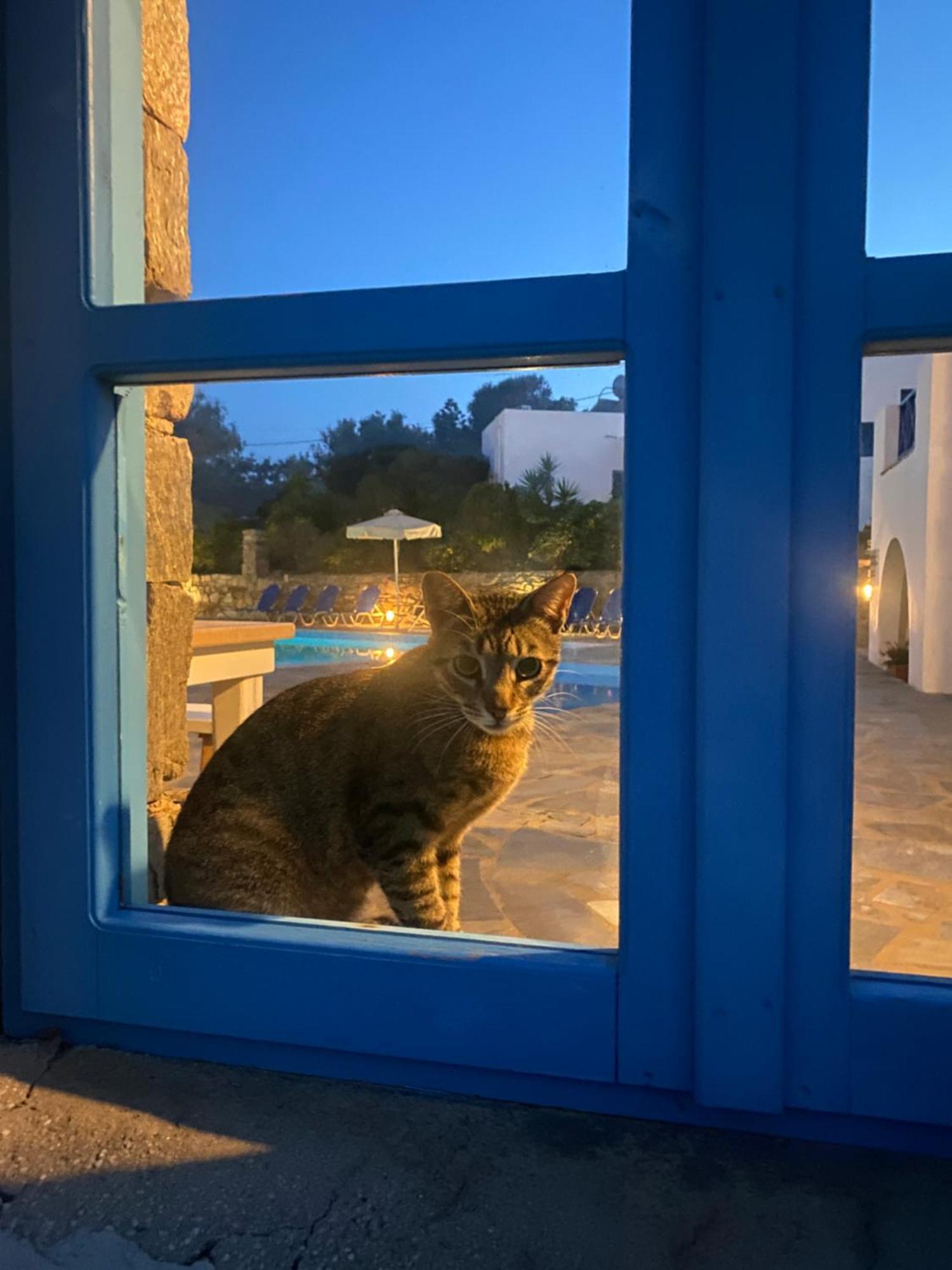 Iliopetra Studios Chrisi Akti  Luaran gambar